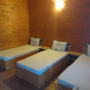 Flora קוסטינסטי