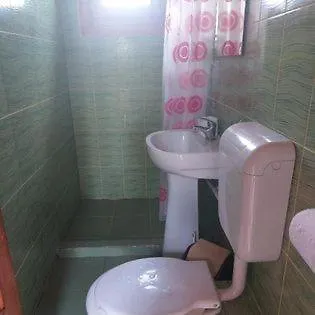 בית הארחה Flora *