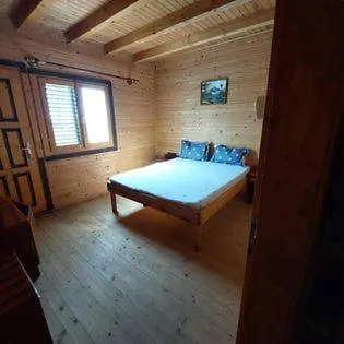 Flora קוסטינסטי