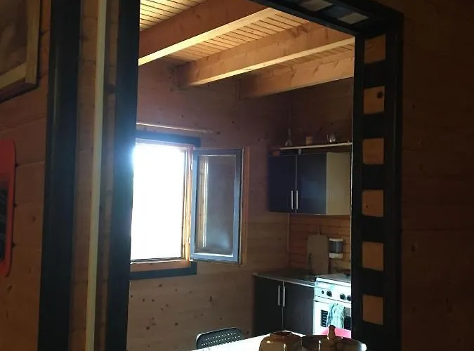 Flora קוסטינסטי