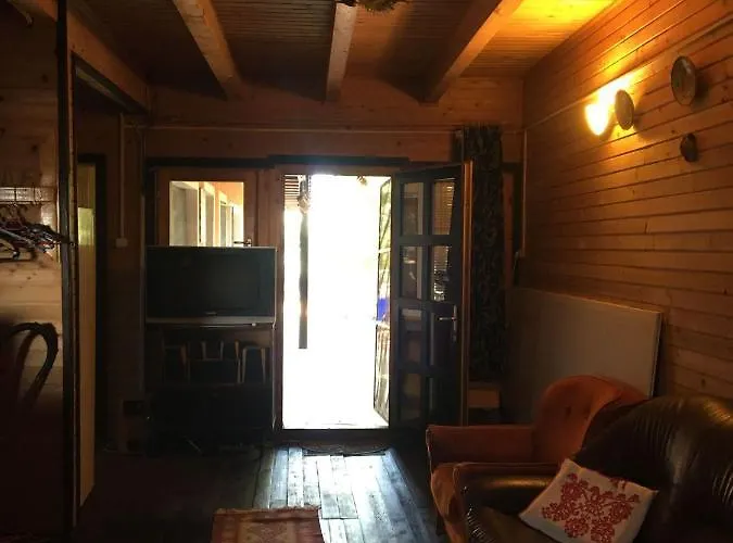 Flora קוסטינסטי