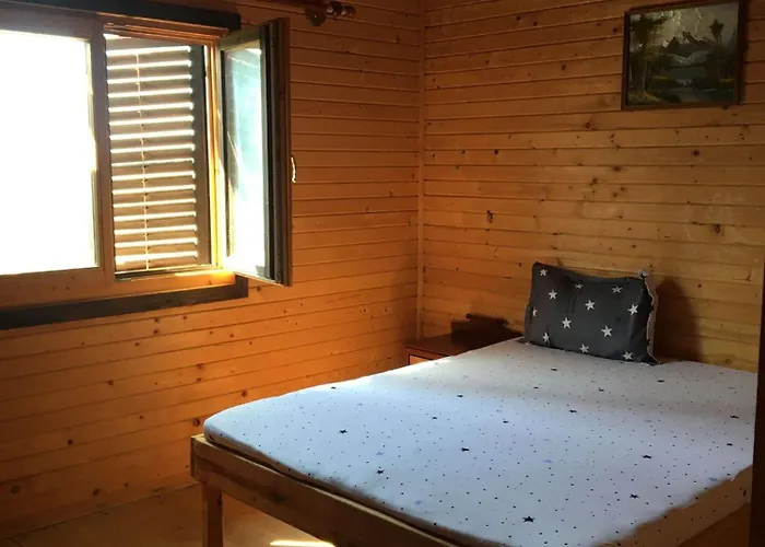 בית הארחה Flora *