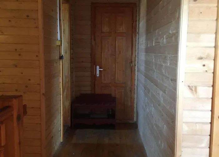 Flora קוסטינסטי