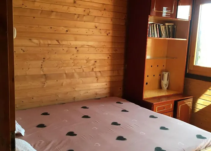 Flora * קוסטינסטי