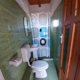 Flora Guest house *