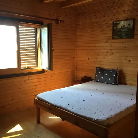 Guest house Vila Flora *